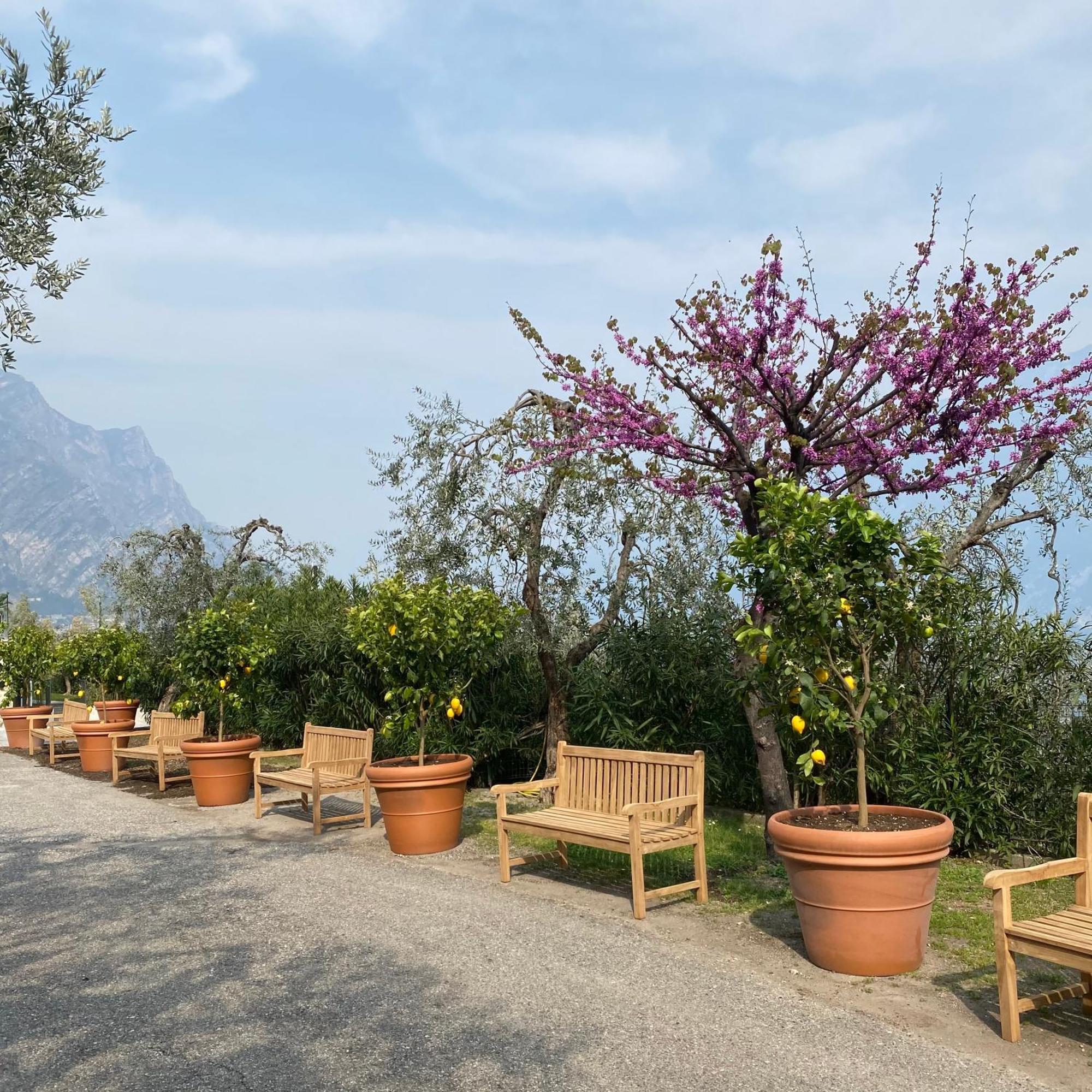 Hotel Mercedes Limone sul Garda Extérieur photo